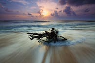 海浪上日出引人注目，沙滩上散落着浮木