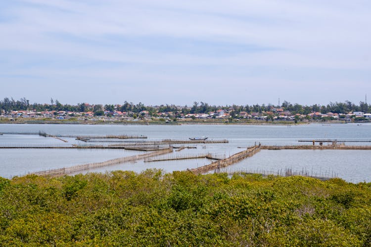 Village Port In Countryside