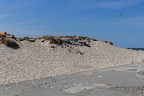 Free stock photo of beach, germany, rÃ gen