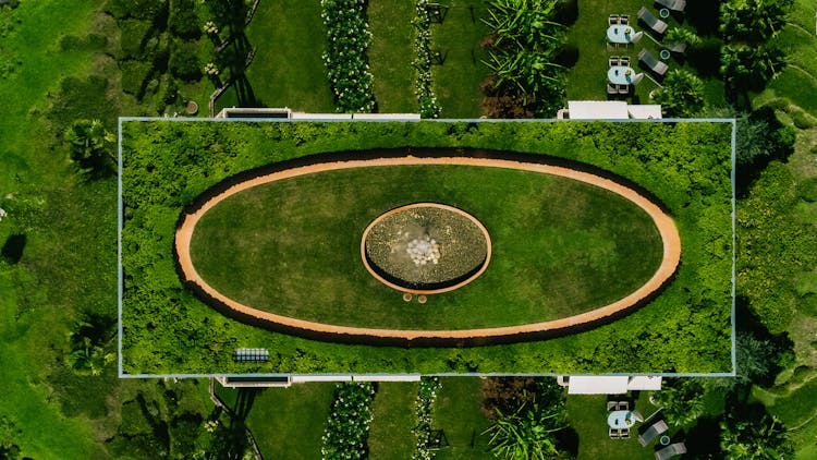 Top View Of Garden On Rooftop