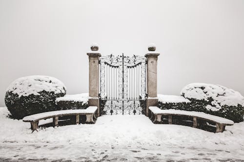 Immagine gratuita di cancello, freddo, gelo