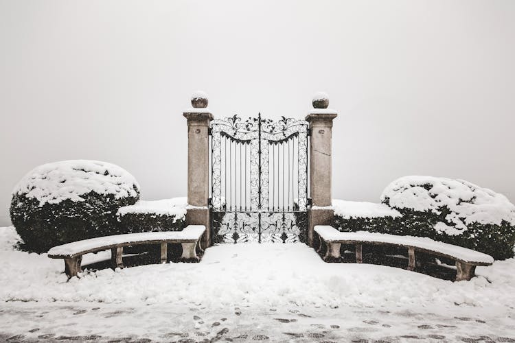 Gate In Winter