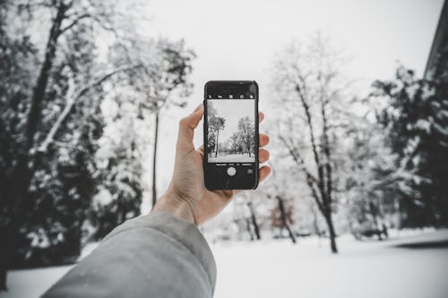 Gratis stockfoto met apparaatje, beeld, bomen