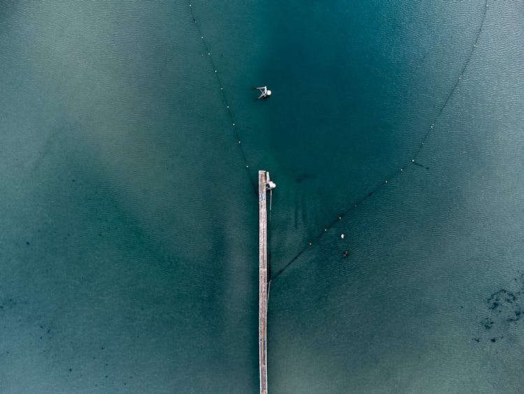 Aerial Shot Of Jetty And Sea 