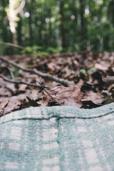 A textured blanket partially covers the leafy forest floor, creating a natural and serene scene.