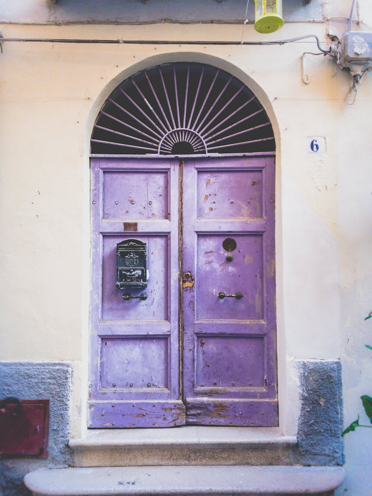 Purple Old Retro Doors To Building