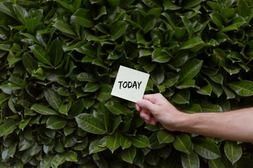 A Person Holding a Piece of Paper with the Word Today