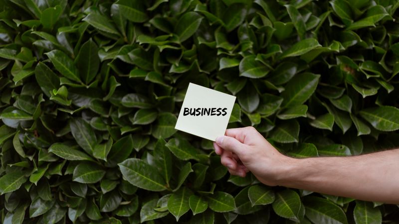 Perguntas Frequentes Sobre Empreendedorismo Eco-friendly