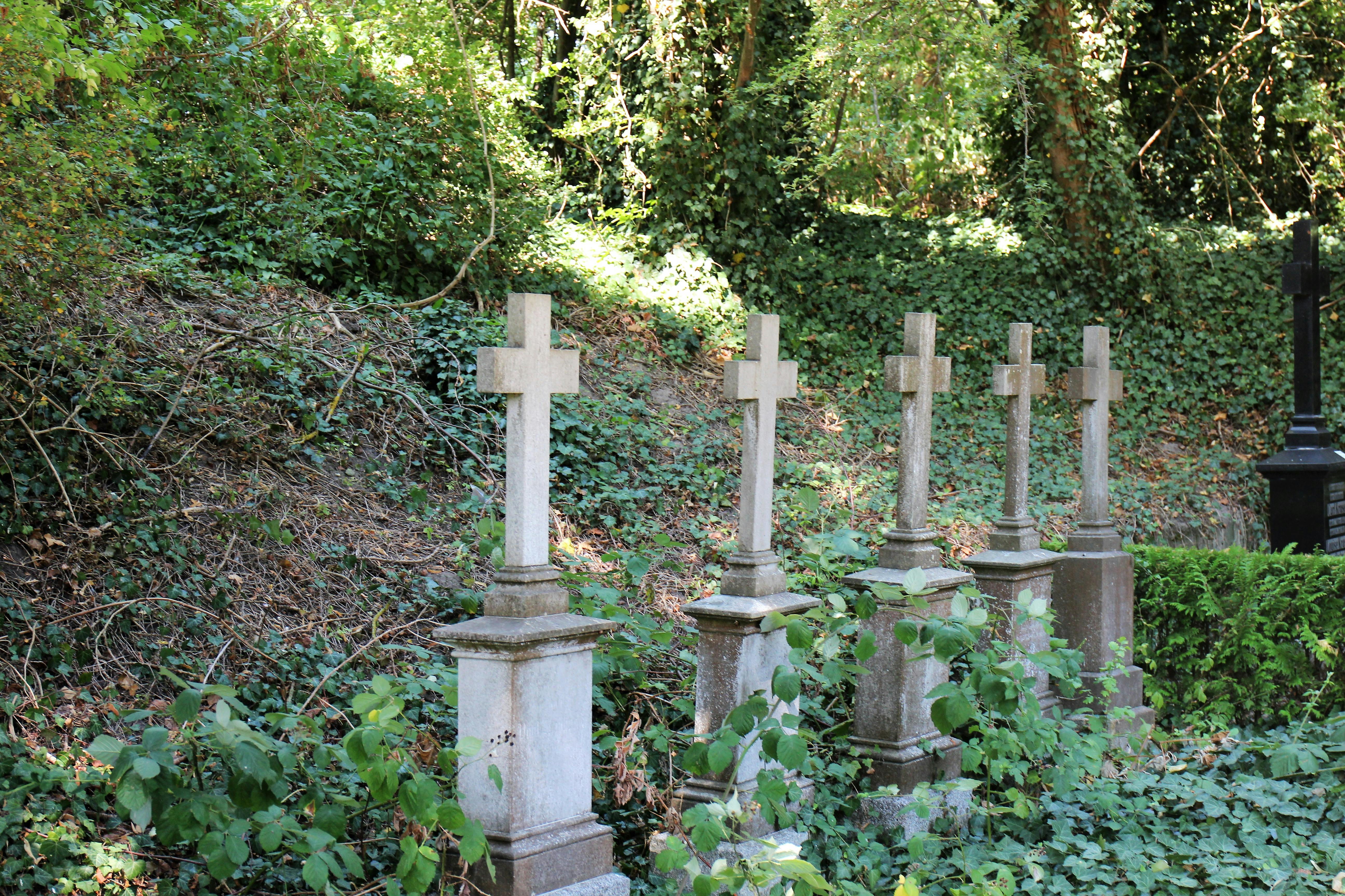 Free stock photo of grave, tombstone