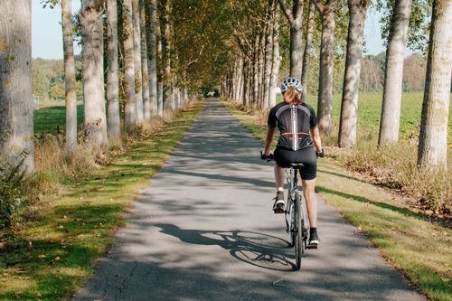 Free A woman enjoys a leisurely bicycle ride on a sunny rural road lined with trees. Stock Photo