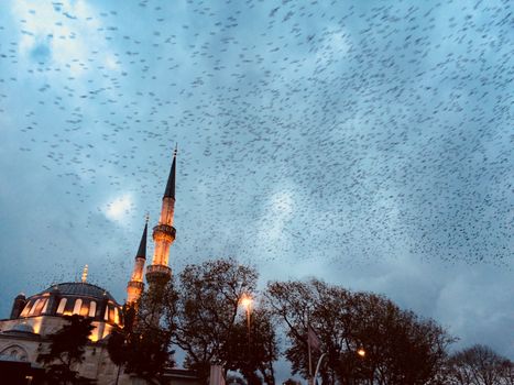 Meyhane dinner in Beyoğlu — Istanbul