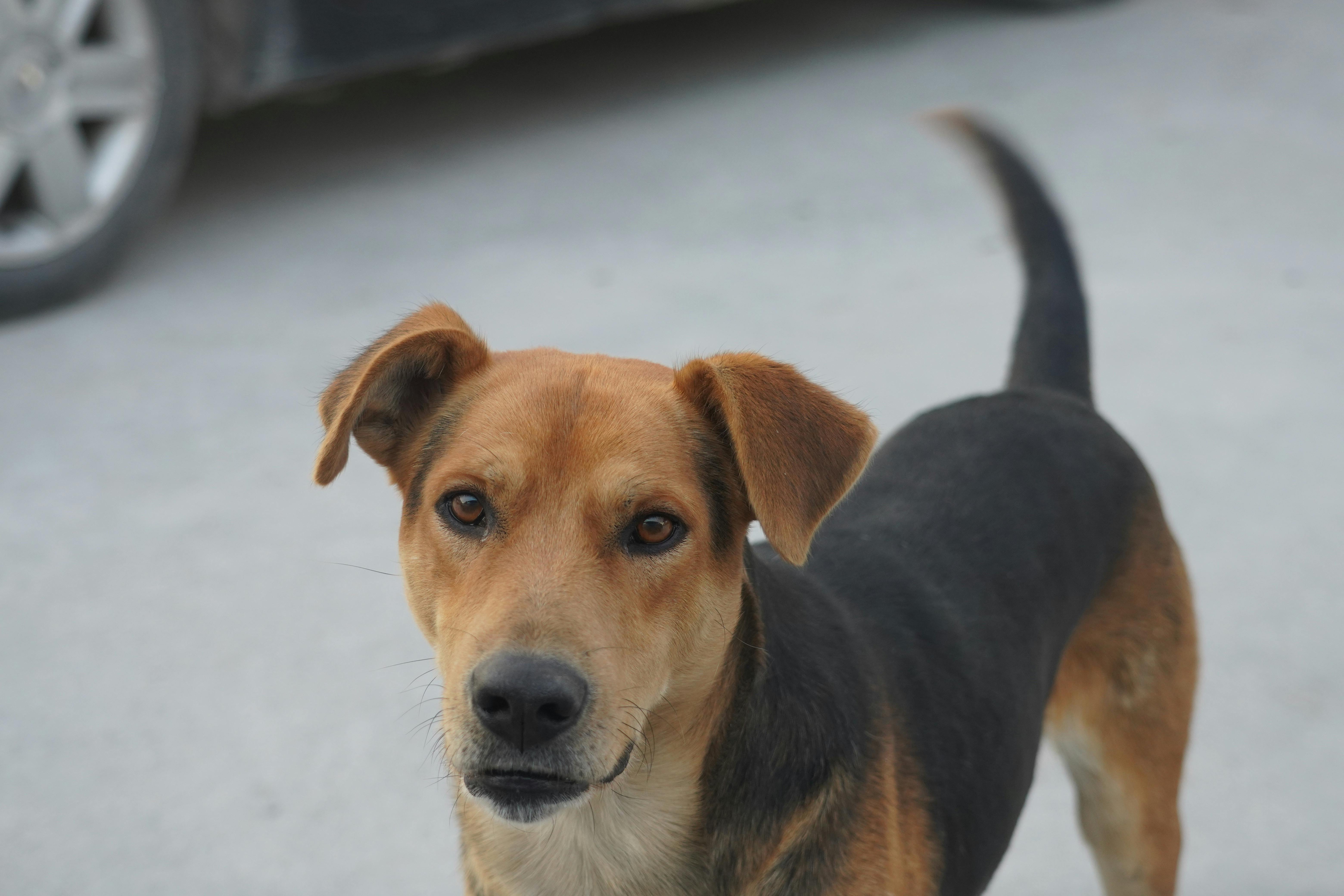 Best Female-Friendly Neighborhoods and Accommodations in Istanbul and Beyond