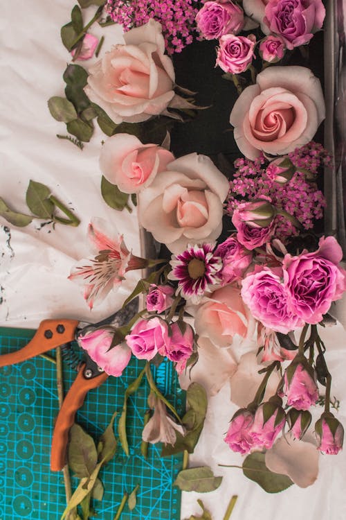 Fotobanka s bezplatnými fotkami na tému kvety, kytica, ruže