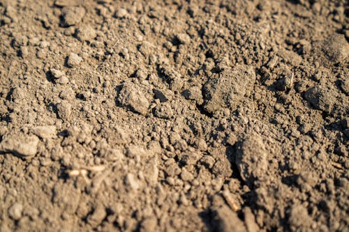 Close-Up Photo of Brown Soil
