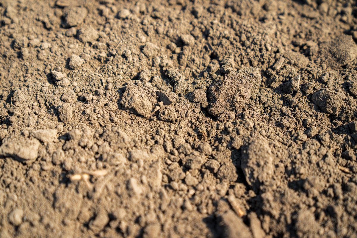 Topsoil Delivery example photo 2