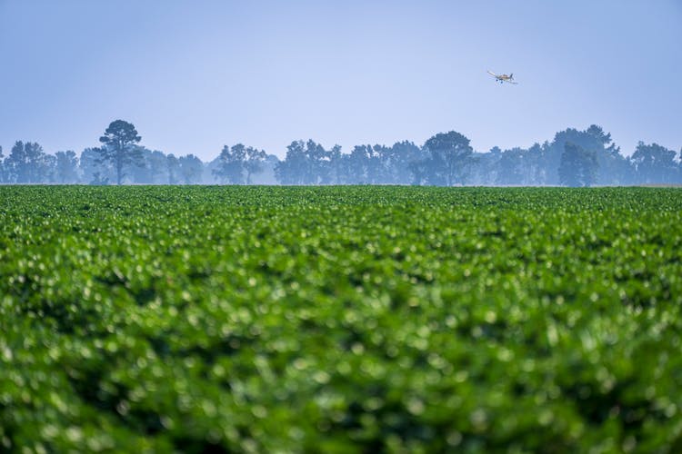 An Airplane Flying Over A Farm Field