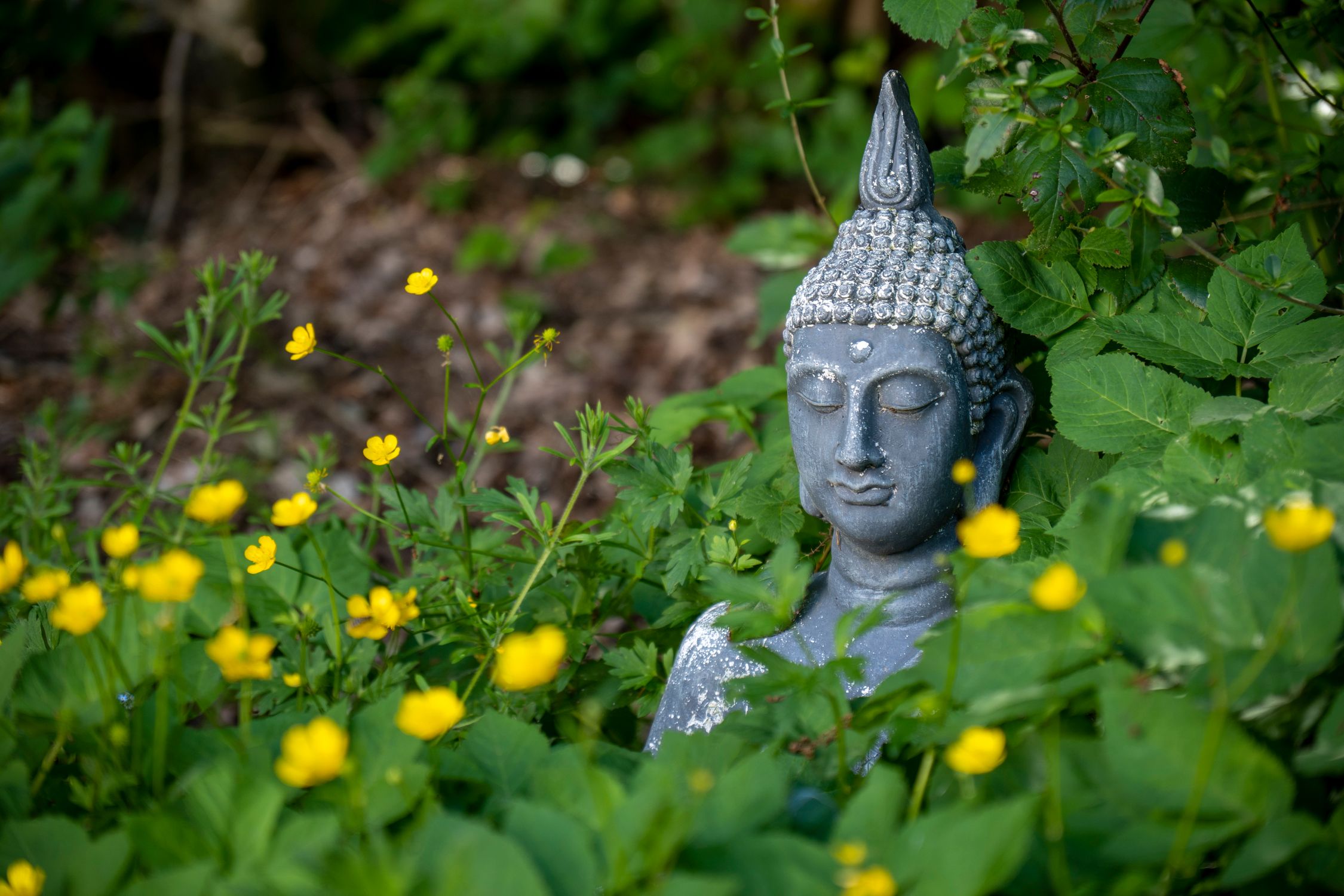 A Buddha Statue in a Garden · Free Stock Photo