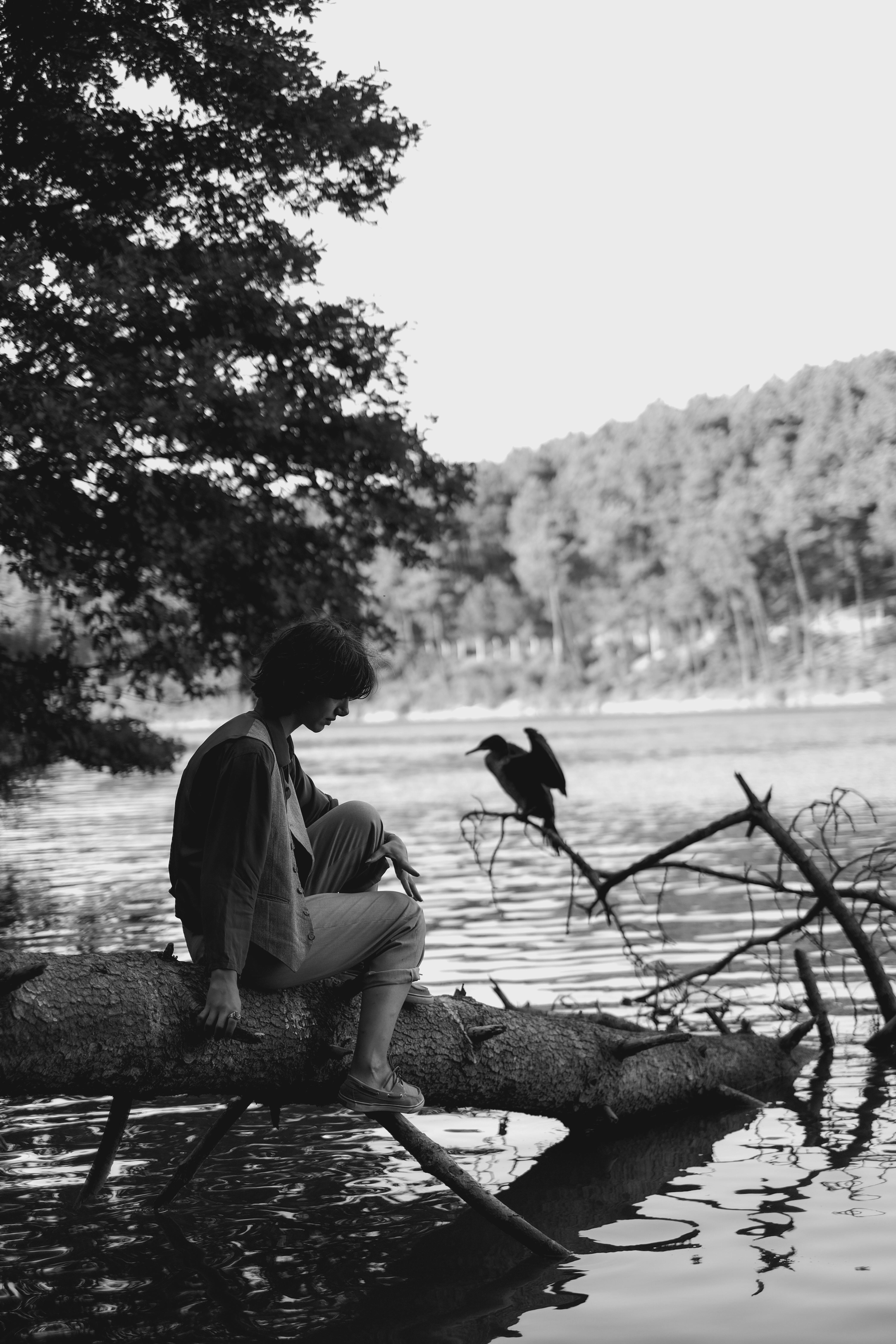 teenage boy and bird sitting on tree stump fallen in lake