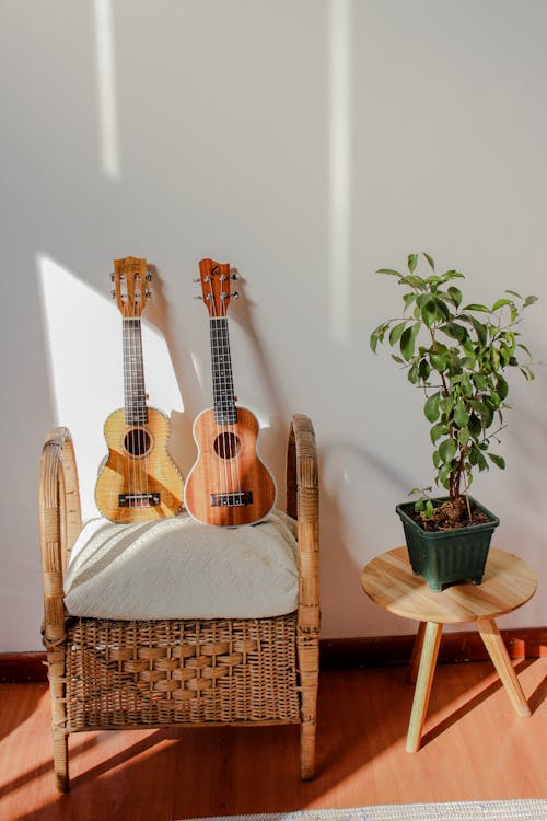 A Stringed Instruments Near the Potted Plant on a Wooden Table