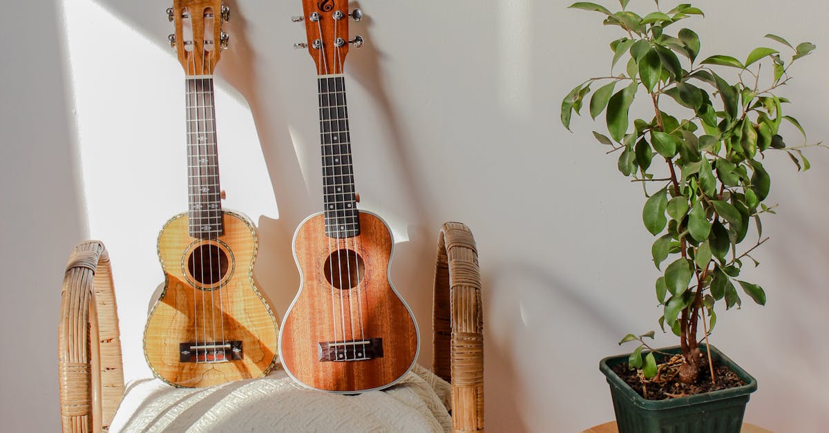 A Stringed Instruments Near the Potted Plant on a Wooden Table · Free ...