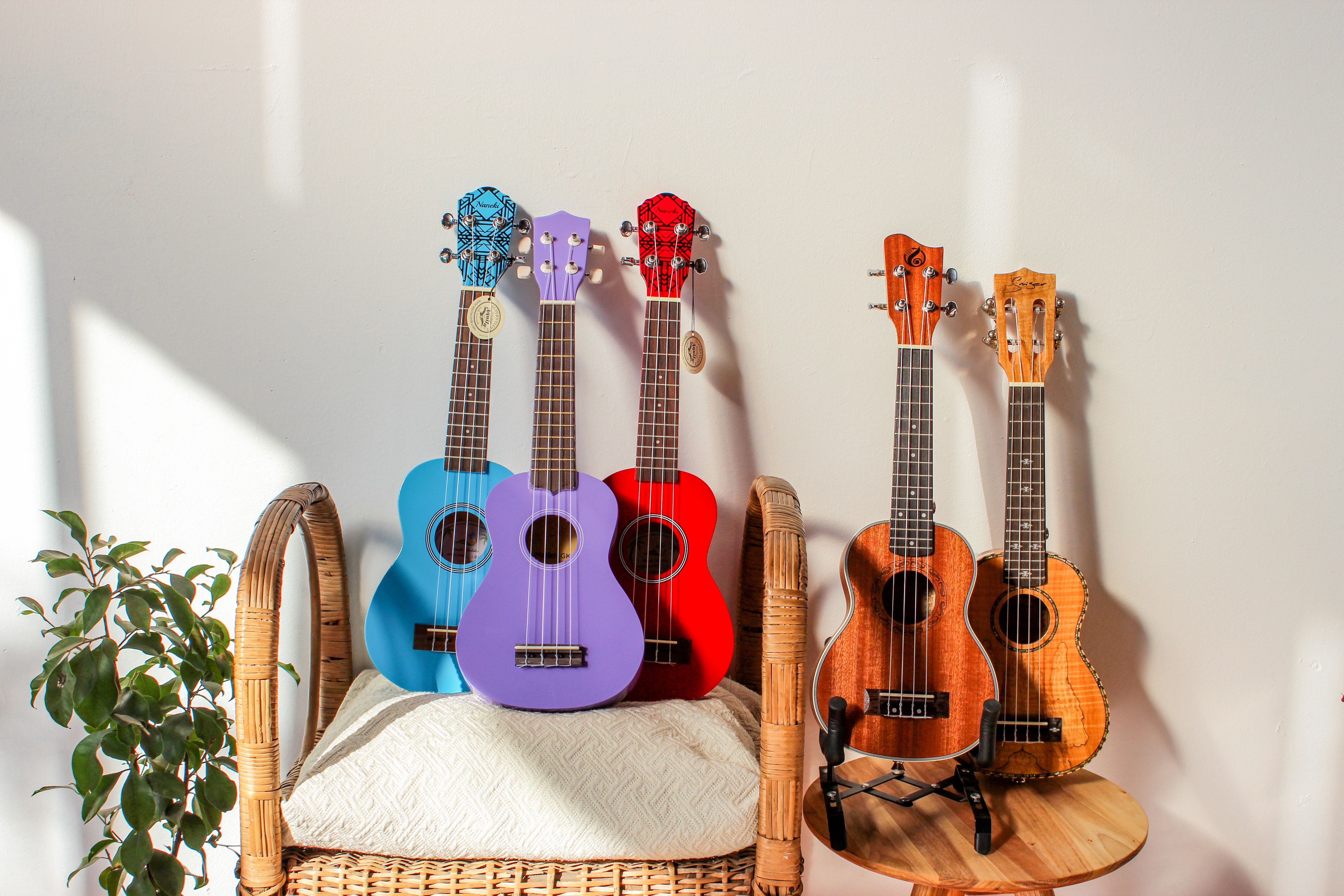 Different Colors Of Ukuleles Free Stock Photo