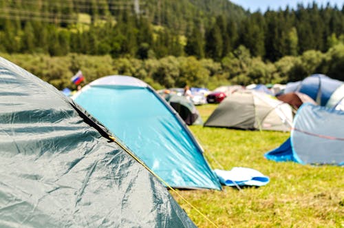 Free Tents Surrounded by Trees Stock Photo