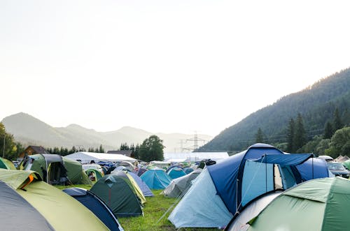 Gratis lagerfoto af aktivitet, bede, campfest