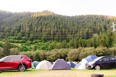 Socializare cu ceai perlat