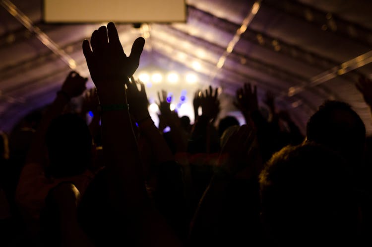 Silhouette Crowded People And Stage Lights