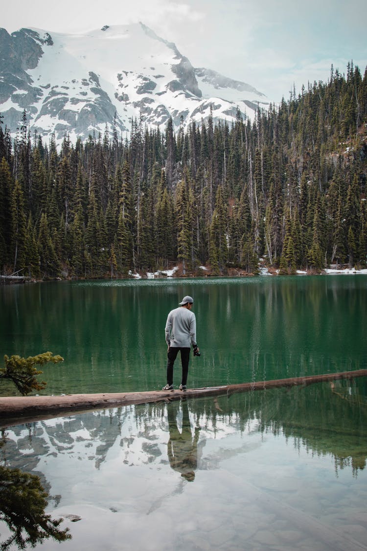 Young Man Standing On Fallen Tree Stump Lying In Mountain Lake