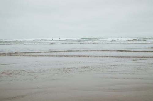 People Swimming on the Beach