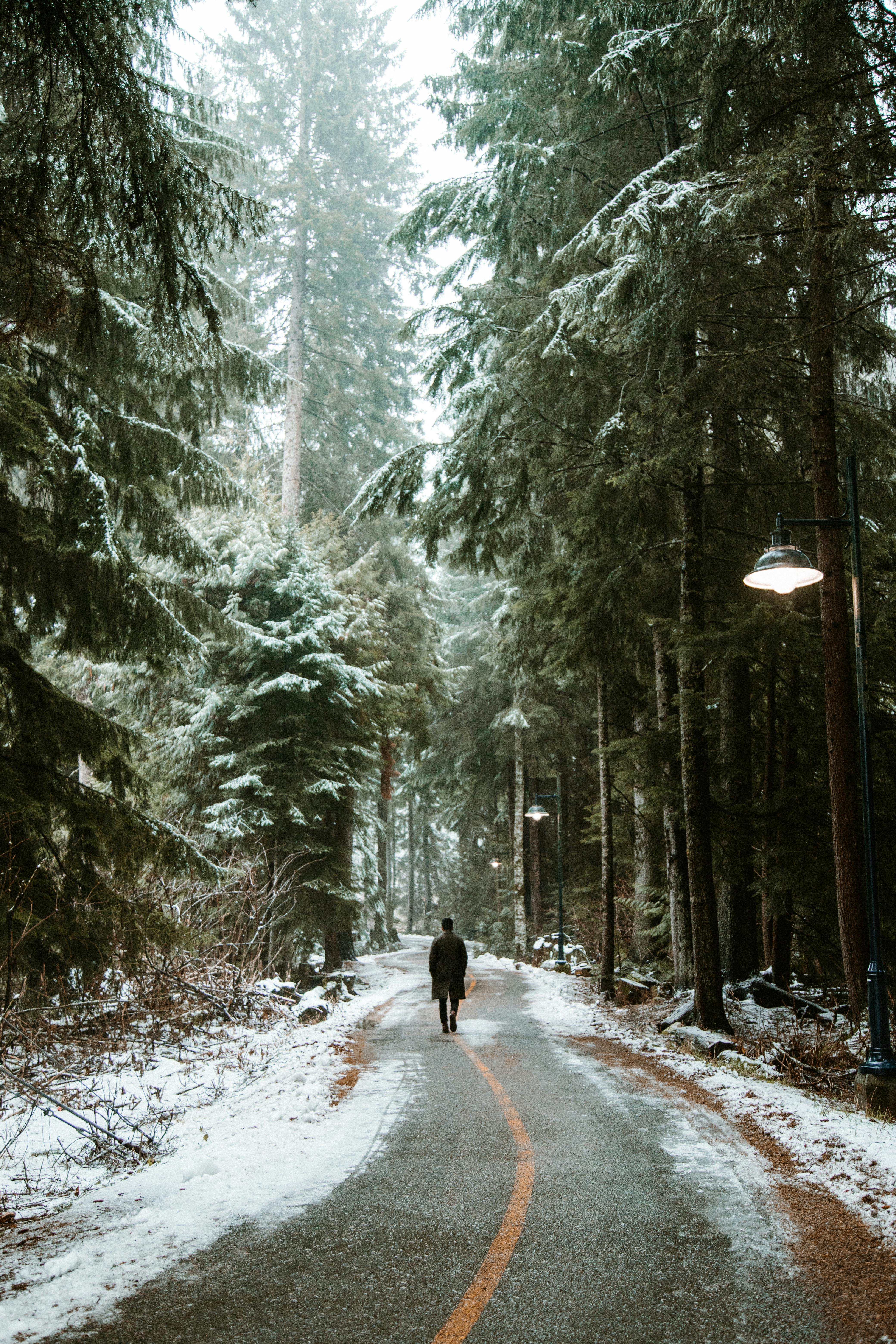 Photo by Sophie Cambridge