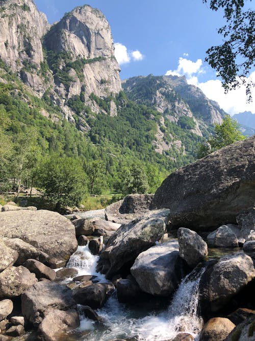 Imagine de stoc gratuită din cer albastru, copaci verzi, fotografiere verticală