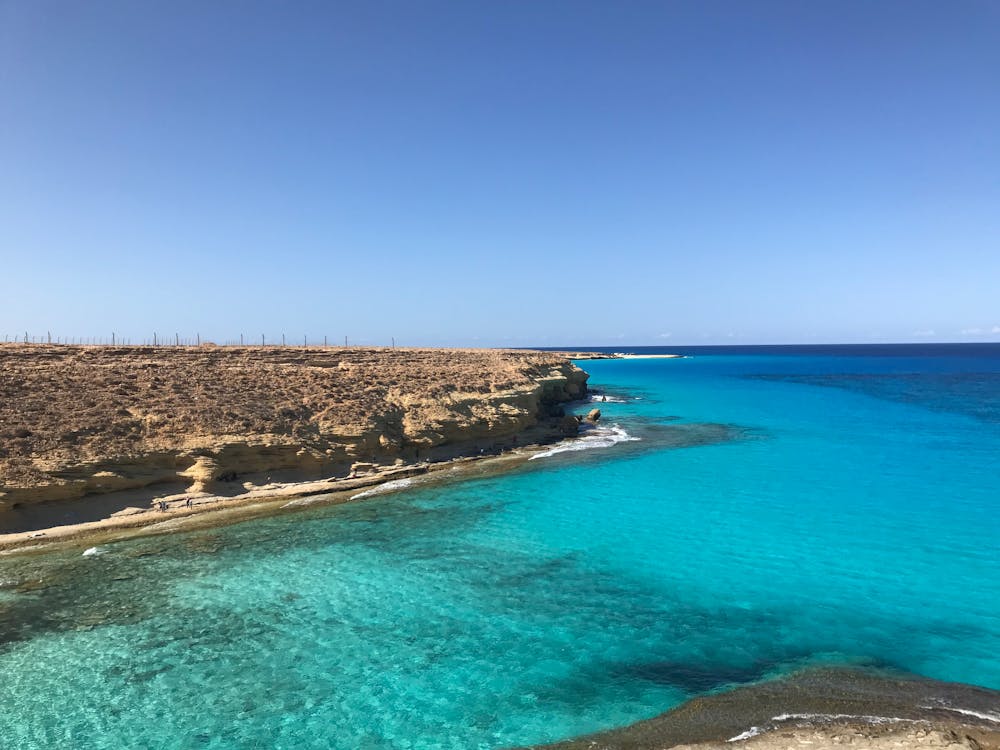 阿拉斯加’最年輕長毛象’脊椎骨之謎:科學修正如何重塑史前發現的真相? 阿拉斯加’最年輕長毛象’脊椎骨之謎:科學修正如何重塑史前發現的真相?