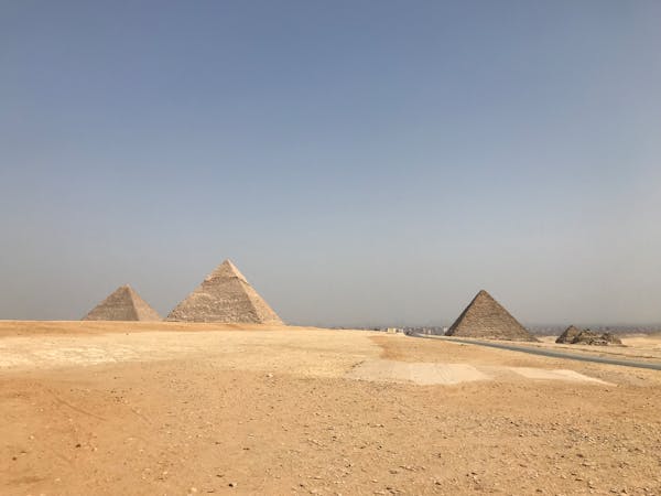 Freshly mown lawn with bold stripes