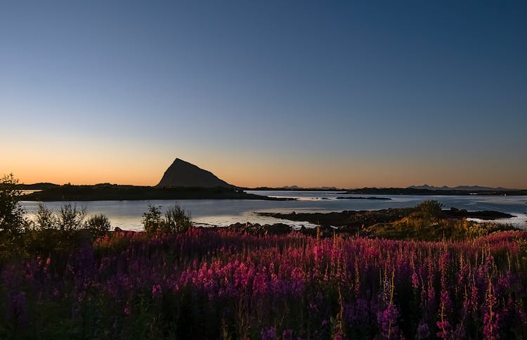 Landscape Of The Lofoten Archipelago At Sunset, Norway 