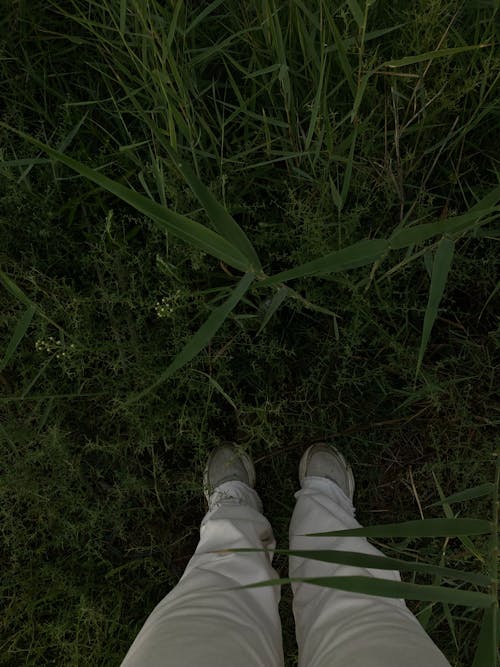 Bezpłatne Darmowe zdjęcie z galerii z białe majtki, buty, na stojąco Zdjęcie z galerii