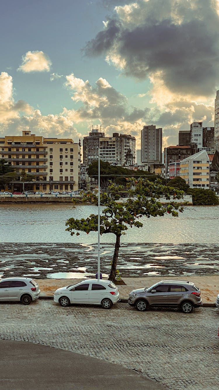 Cars Parked On The Road By The River