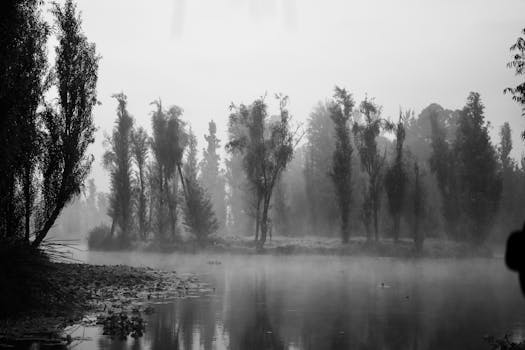 A tranquil mist-covered lake surrounded by trees in CDMX, Mexico, captured in black and white.