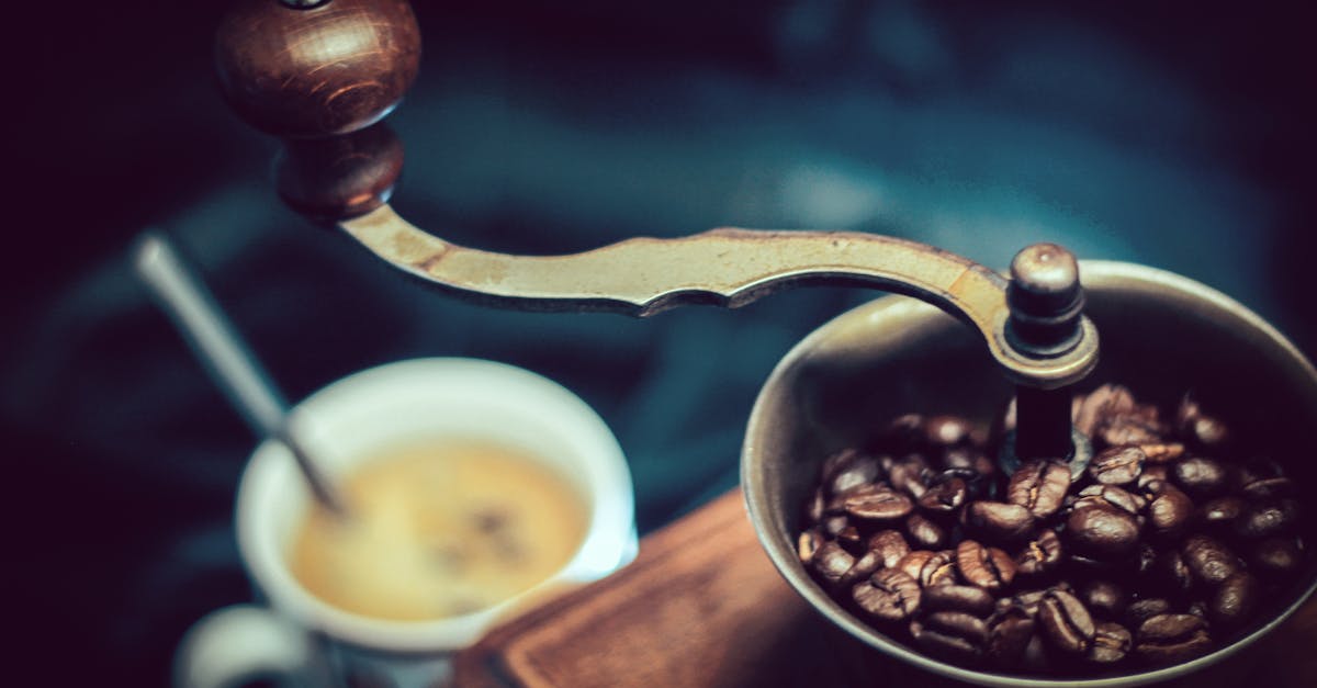 Do cacao beans have caffeine