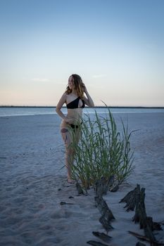 Young woman in black bikini posing on beach at sunset with grass.