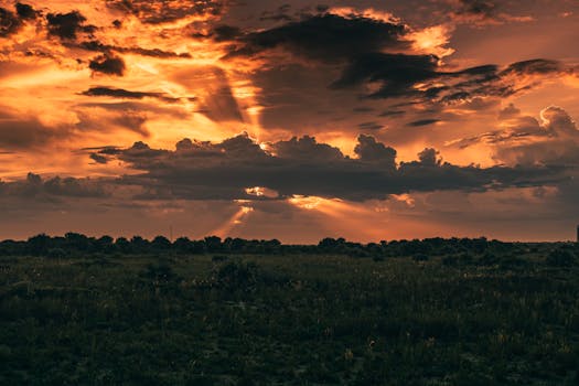Captivating sunset casts warm orange hues over a tranquil grass field, creating a serene and dramatic view.