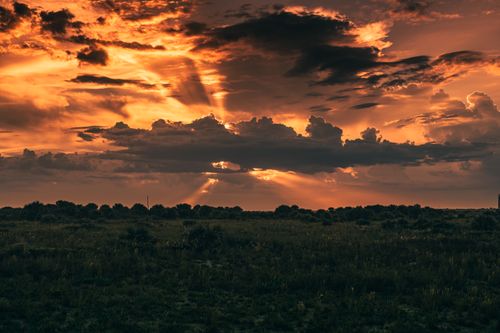 Free Captivating sunset casts warm orange hues over a tranquil grass field, creating a serene and dramatic view. Stock Photo