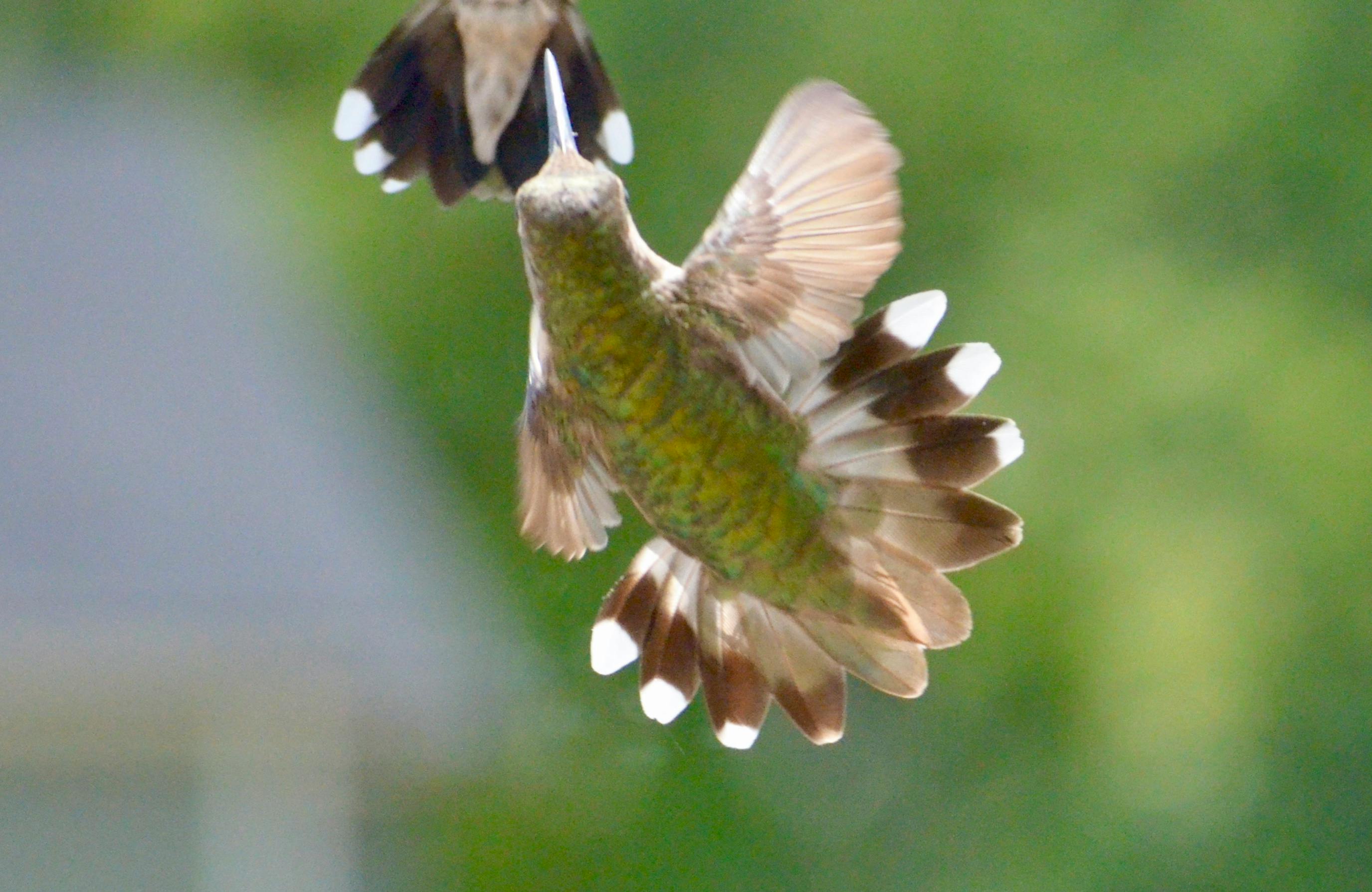 Person texting on a flip phone while sitting on a bench