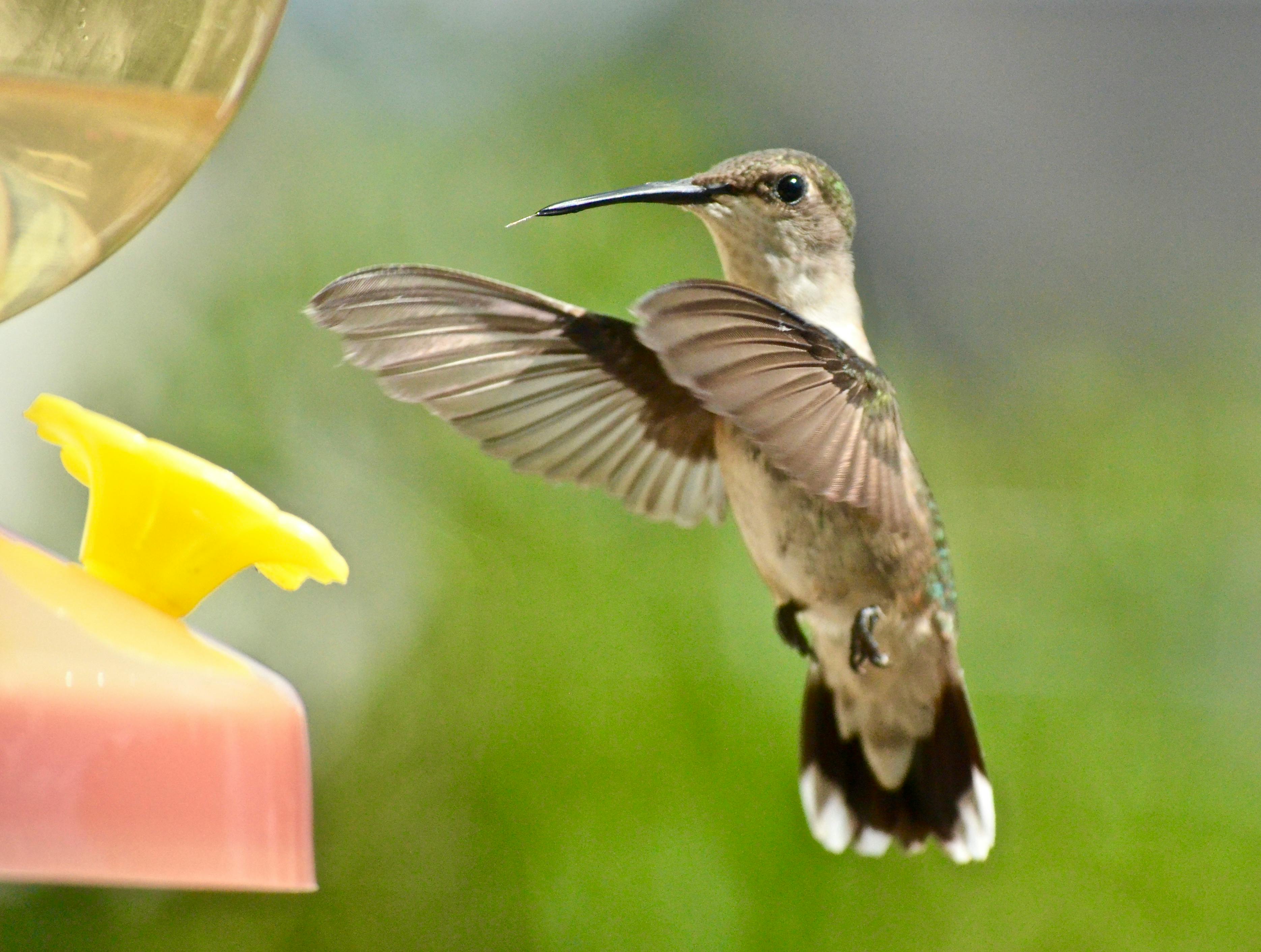 Person wearing a spatial headset in an indoor setting