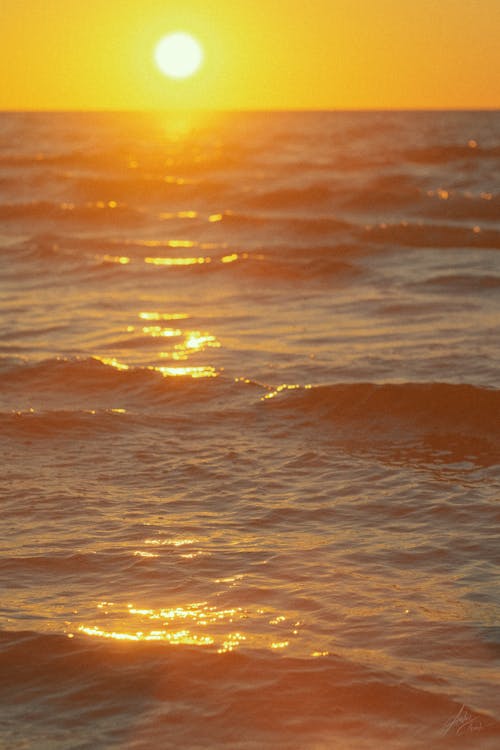 The Golden Hour at the Sea 