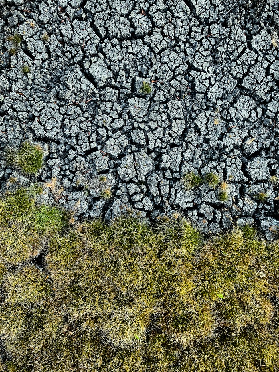 nature climate change