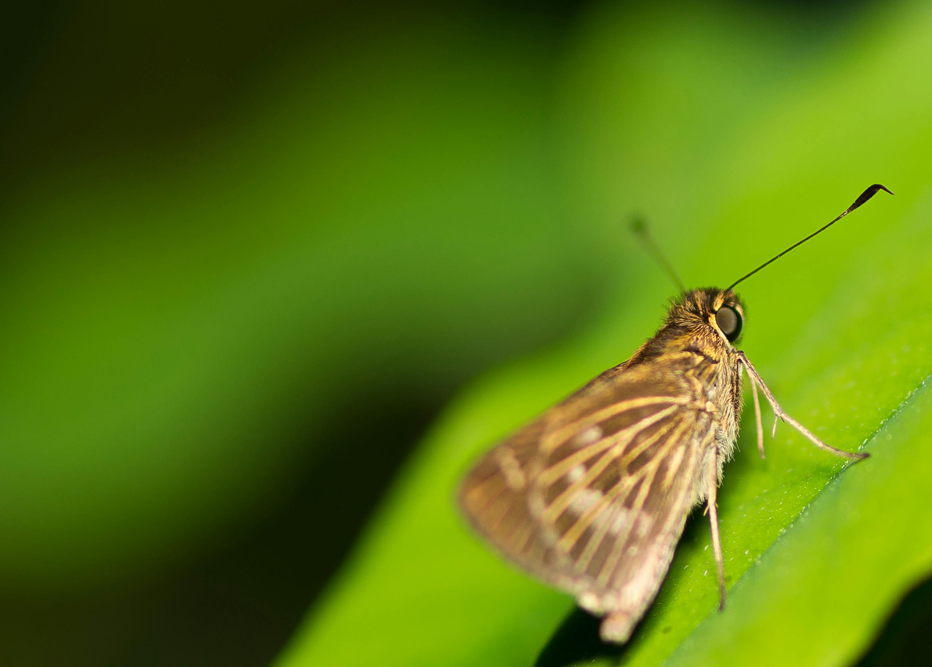 Two baseball players coaching each other during practice