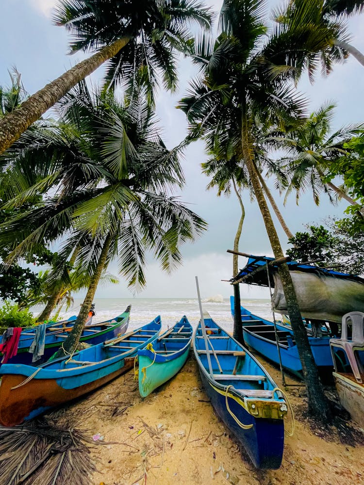 Blue Boats On Seashore Near Palm Trees