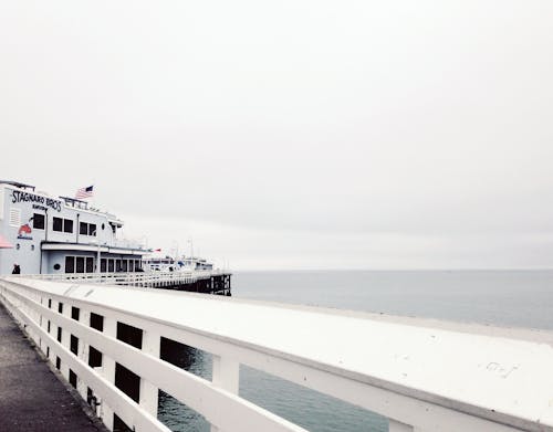 White Cruise Ship Near Concrete Dock on Body of Water Under White Cloudy Sky during Daytime